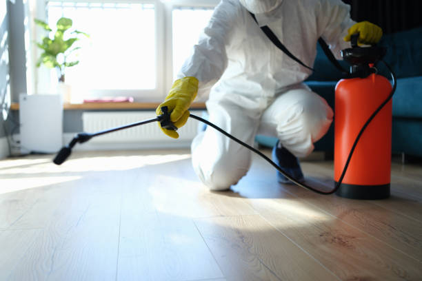 Professional Pest Control in Enumclaw, WA